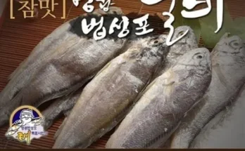 미리주문필수!! 법성포참맛굴비대장대70g30마리 추천상품