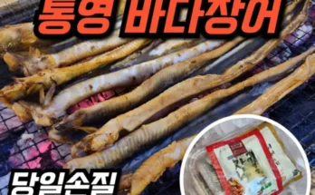 가성비 끝판왕 한국민속촌 통큰 바다장어 240g8봉 베스트 상품